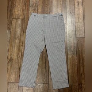 Express dress pantss